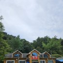 춘천 닭백숙 별장한방토종닭 후기 (발담그고 먹는 백숙)