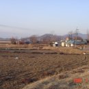 별밭에서 이미지