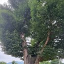 창의리 마을회관 이미지