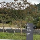 서지동보건진료소 | 대구 간송미술관 &lt;여세동보&gt; 예약 후 기차 KTX 이동 관람 팁