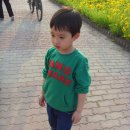 주여비네 이미지