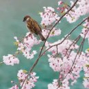 꽃내음스마트도서관 이미지