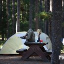 캠핑Travel 네이버블로그