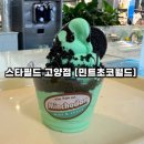 민초 반민초? 스타필드 고양점 [민트초코월드] 팝업 방문 후기