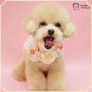 영산로 284 이미지