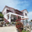 마인하임 이미지