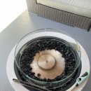 더 플로트 앳 송당 이미지