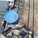 도곡낚시터 이미지