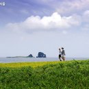 제주 할리데이 이미지