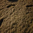 성골 농원 이미지