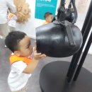 안산식물원과 성호박물관다녀왔습니다 이미지