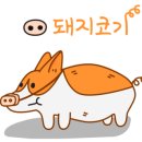 속초해변 네이버블로그