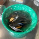 예담포차 | 오징어회가 맛있는 인천 구월동 터미널 근처 해산물 포차 술집 추천 ‘뱃꼬동’