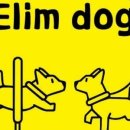 Elim dog(엘림독) 이미지