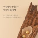 롯데청량리바라기한약국 이미지