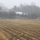 사암리 선돌 이미지