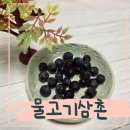 물고기삼촌 | 물고기삼촌 냉동 블루베리 주문 솔직후기