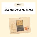 [제품] 장 건강을 위한 최적의 선택! 홍암 현미참살이 발효식품 &amp; 현미유산균 솔직 리뷰