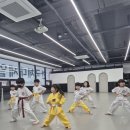 한국체대 진 태권도장 이미지