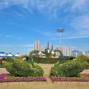 2023 양산국화축제 행사일정과 장소 교통편 주차정보