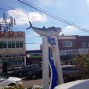 고흥 여행 삼치철 : 나로도 삼치거리 회센터에서 대왕 삼치회 먹기(+나로도마트)