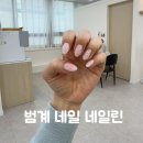 범계네일 네일린 벚꽃네일 솔직후기