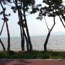 녹차왕족발 이미지