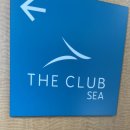 시텍 | 외곽) 한달살기 - 10편 SeaTac(시애틀타코마) Airport The Club SEA - South Satellite 라운지 후기