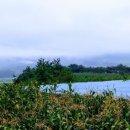 포도송이펜션 이미지