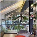 더진현풀빌라 | 경주 더진현풀빌라 후기