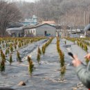 금토부동산공인중개사사무소 이미지