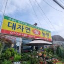 대자연꽃집