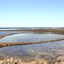 순덕이네 이미지