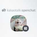 개린이살롱 이미지