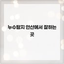 누수탐지 네이버블로그