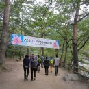 삼화사 수륙재 이미지