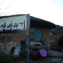 차꽃향기 이미지