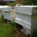 풍촌농장 이미지