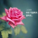 빈깡통