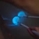 몽키’s비어 | 말레이시아 여행 5일차 - 원숭이한테 물려본 사람? (쿠알라룸푸르 일일투어/바투동굴/반딧불투어)