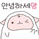 피씨앤씨 이미지