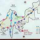 대정읍 영어교육도시내 곶자왈 이미지