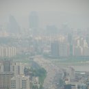 할매족발 이미지