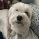 수원-0609 이미지