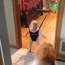 Dog Teaches Baby How to Bounce in Swing! 이미지