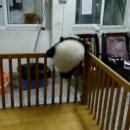 판다PC 이미지
