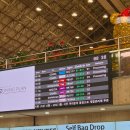 터미널프라자 | 중부) 노선 MM768, MM771편 탑승기 &amp; 나고야 중부국제공항 1터미널 플라자 프리미엄 라운지 이용 후기