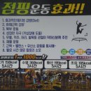 힐더독 | 서울대입구역 점핑다이어트 봉봉점핑 후기