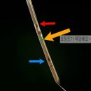 아트모터스 이미지