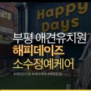 해피애견 | 부평 애견유치원 해피데이즈 다녀온 후기 | 소수정예케어 / 데이케어 / 부평애견호텔 까지 !